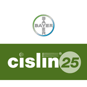 cis25_logo