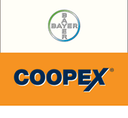 coopex_d_logo